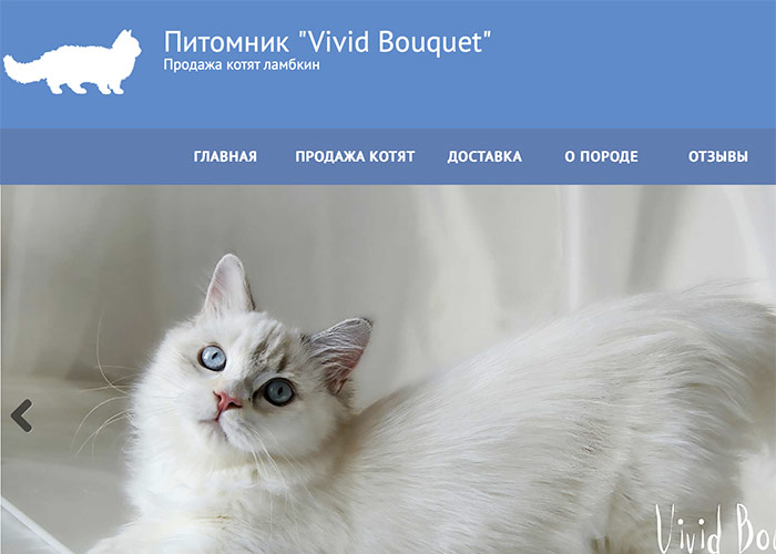 Сайт питомника кошек Vivid Bouquet
